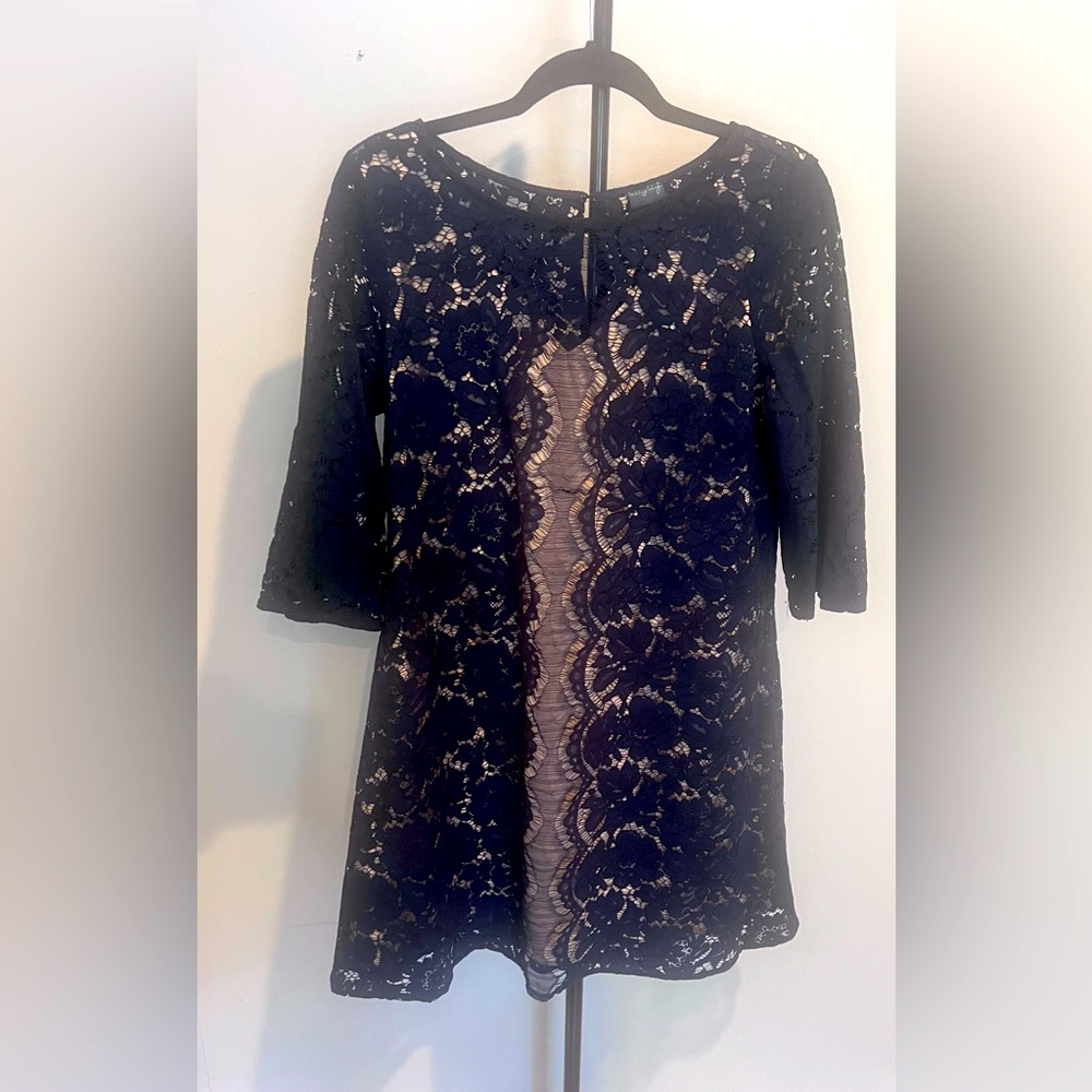 Mini Lace Sheer Dress